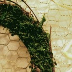 苔のリース